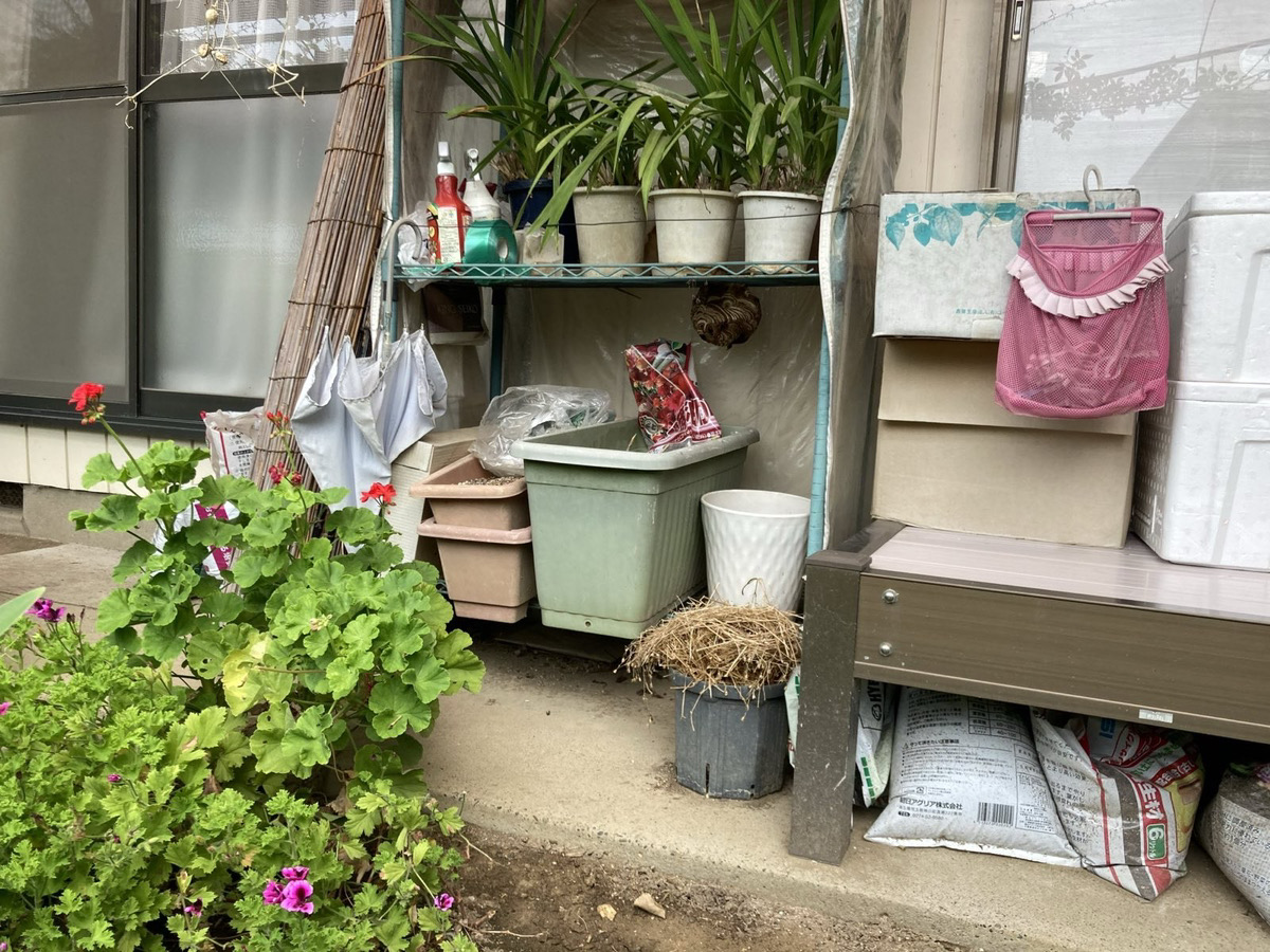 プランター周辺に作られた蜂の巣